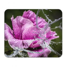 Коврик прямоугольный с принтом Душа цветов , натуральный каучук | размер 230 х 185 мм; запечатка лицевой стороны | Тематика изображения на принте: бабочка | букет | вода | девушки | душа | красота | прелесть | роза | розы | цветы