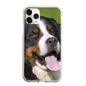 Чехол для iPhone 11 Pro матовый с принтом Бернский зенненхунд , Силикон |  | волкодав | дворняжка | домашние животные | любимец | мопс | овчарка | пес | песик | питомец | сенбернар | собака | собачка