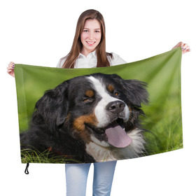 Флаг 3D с принтом Бернский зенненхунд , 100% полиэстер | плотность ткани — 95 г/м2, размер — 67 х 109 см. Принт наносится с одной стороны | волкодав | дворняжка | домашние животные | любимец | мопс | овчарка | пес | песик | питомец | сенбернар | собака | собачка