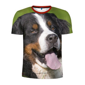 Мужская футболка 3D спортивная с принтом Бернский зенненхунд , 100% полиэстер с улучшенными характеристиками | приталенный силуэт, круглая горловина, широкие плечи, сужается к линии бедра | волкодав | дворняжка | домашние животные | любимец | мопс | овчарка | пес | песик | питомец | сенбернар | собака | собачка