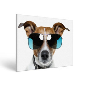 Холст прямоугольный с принтом Джек Рассел в очках , 100% ПВХ |  | волкодав | дворняжка | джек | джек рассел | домашние животные | любимец | мопс | овчарка | пес | песик | питомец | рассел | сенбернар | собака | собачка