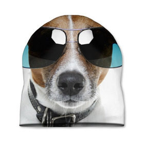 Шапка 3D с принтом Джек Рассел в очках , 100% полиэстер | универсальный размер, печать по всей поверхности изделия | волкодав | дворняжка | джек | джек рассел | домашние животные | любимец | мопс | овчарка | пес | песик | питомец | рассел | сенбернар | собака | собачка