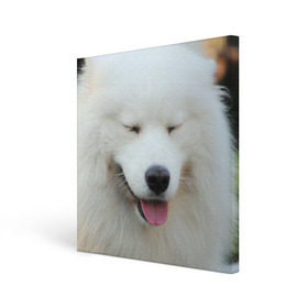 Холст квадратный с принтом Самоед , 100% ПВХ |  | Тематика изображения на принте: далматин | лабрадор | любимец | овчарка | пес | питомец | самоед | собака | собачка | щенок
