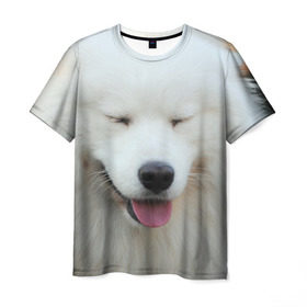 Мужская футболка 3D с принтом Самоед , 100% полиэфир | прямой крой, круглый вырез горловины, длина до линии бедер | далматин | лабрадор | любимец | овчарка | пес | питомец | самоед | собака | собачка | щенок