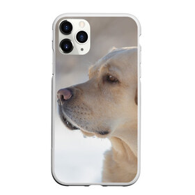 Чехол для iPhone 11 Pro матовый с принтом Лабрадор , Силикон |  | далматин | далматинец | дворняга | лабрадор | любимец | овчарка | пес | питомец | самоед | собака | собачка | щенок