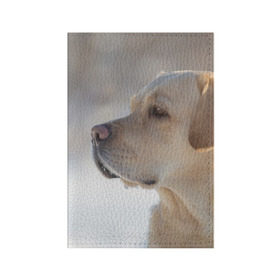 Обложка для паспорта матовая кожа с принтом Лабрадор , натуральная матовая кожа | размер 19,3 х 13,7 см; прозрачные пластиковые крепления | далматин | далматинец | дворняга | лабрадор | любимец | овчарка | пес | питомец | самоед | собака | собачка | щенок