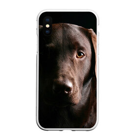 Чехол для iPhone XS Max матовый с принтом Лабрадор , Силикон | Область печати: задняя сторона чехла, без боковых панелей | далматин | далматинец | дворняга | лабрадор | любимец | овчарка | пес | питомец | самоед | собака | собачка | щенок