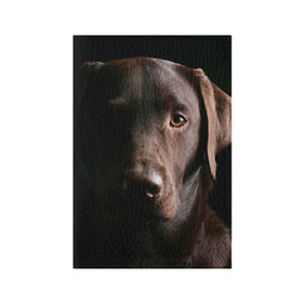 Обложка для паспорта матовая кожа с принтом Лабрадор , натуральная матовая кожа | размер 19,3 х 13,7 см; прозрачные пластиковые крепления | Тематика изображения на принте: далматин | далматинец | дворняга | лабрадор | любимец | овчарка | пес | питомец | самоед | собака | собачка | щенок