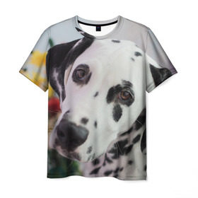 Мужская футболка 3D с принтом Далматин , 100% полиэфир | прямой крой, круглый вырез горловины, длина до линии бедер | акита | акита ину | далматин | далматинец | дворняга | ину | лабрадор | любимец | овчарка | пес | питомец | самоед | сиба | сиба ину | собака | собачка | щенок