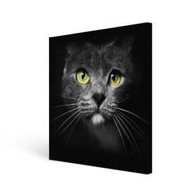 Холст квадратный с принтом Кошачий взгляд , 100% ПВХ |  | Тематика изображения на принте: взгляд | взор | глаза | киска | кот | котёнок | кошка | усы