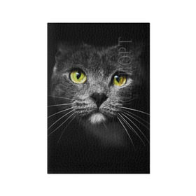 Обложка для паспорта матовая кожа с принтом Кошачий взгляд , натуральная матовая кожа | размер 19,3 х 13,7 см; прозрачные пластиковые крепления | Тематика изображения на принте: взгляд | взор | глаза | киска | кот | котёнок | кошка | усы