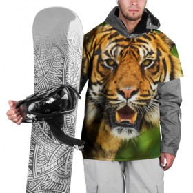 Накидка на куртку 3D с принтом Тигр , 100% полиэстер |  | дикая кошка | животное | клыки | лев | тигр. tiger | хищник