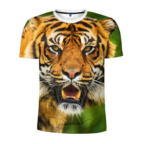 Мужская футболка 3D спортивная с принтом Тигр , 100% полиэстер с улучшенными характеристиками | приталенный силуэт, круглая горловина, широкие плечи, сужается к линии бедра | дикая кошка | животное | клыки | лев | тигр. tiger | хищник