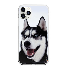Чехол для iPhone 11 Pro матовый с принтом Сибирский хаски , Силикон |  | взгляд | голубые глаза | зима | сибирь | снег | собака | хаски | хаски бандит | холод