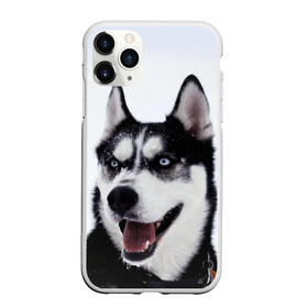 Чехол для iPhone 11 Pro Max матовый с принтом Сибирский хаски , Силикон |  | взгляд | голубые глаза | зима | сибирь | снег | собака | хаски | хаски бандит | холод