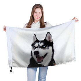Флаг 3D с принтом Сибирский хаски , 100% полиэстер | плотность ткани — 95 г/м2, размер — 67 х 109 см. Принт наносится с одной стороны | взгляд | голубые глаза | зима | сибирь | снег | собака | хаски | хаски бандит | холод