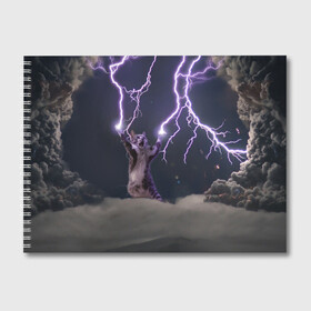 Альбом для рисования с принтом Грозовой кошак , 100% бумага
 | матовая бумага, плотность 200 мг. | Тематика изображения на принте: lightning cat