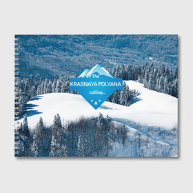 Альбом для рисования с принтом Красная поляна , 100% бумага
 | матовая бумага, плотность 200 мг. | горнолыжный курорт | горы | зима | красная поляна | лыжи | парк | роза хуторов | снег | сноутборд | сочи