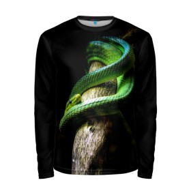 Мужской лонгслив 3D с принтом Змея на груди , 100% полиэстер | длинные рукава, круглый вырез горловины, полуприлегающий силуэт | Тематика изображения на принте: гадюка | дерево | джунгли | зелёный змей | змея | кобра | природа | удав