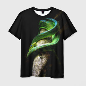 Мужская футболка 3D с принтом Змея на груди , 100% полиэфир | прямой крой, круглый вырез горловины, длина до линии бедер | Тематика изображения на принте: гадюка | дерево | джунгли | зелёный змей | змея | кобра | природа | удав