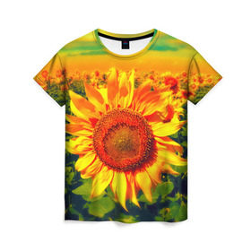 Женская футболка 3D с принтом Подсолнухи , 100% полиэфир ( синтетическое хлопкоподобное полотно) | прямой крой, круглый вырез горловины, длина до линии бедер | лето | подсолнух | поле | природа | цветок | яркая