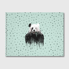 Альбом для рисования с принтом Панда-художник , 100% бумага
 | матовая бумага, плотность 200 мг. | Тематика изображения на принте: animal | art | artist | bear | beast | design | panda | style | арт | дизайн | животное | зверь | кисть | краски | медведь | панда | стиль | художник
