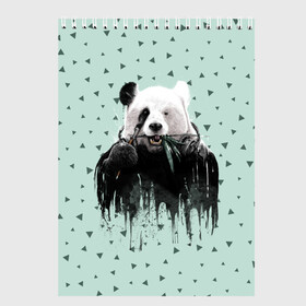 Скетчбук с принтом Панда-художник , 100% бумага
 | 48 листов, плотность листов — 100 г/м2, плотность картонной обложки — 250 г/м2. Листы скреплены сверху удобной пружинной спиралью | Тематика изображения на принте: animal | art | artist | bear | beast | design | panda | style | арт | дизайн | животное | зверь | кисть | краски | медведь | панда | стиль | художник