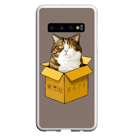 Чехол для Samsung Galaxy S10 с принтом Maru , Силикон | Область печати: задняя сторона чехла, без боковых панелей | Тематика изображения на принте: cat | maru | коробка | кот в коробке | кот мару | котейка | кошка | мару | прикол