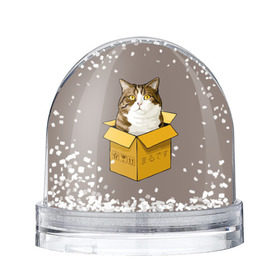 Водяной шар с принтом Maru , Пластик | Изображение внутри шара печатается на глянцевой фотобумаге с двух сторон | Тематика изображения на принте: cat | maru | коробка | кот в коробке | кот мару | котейка | кошка | мару | прикол