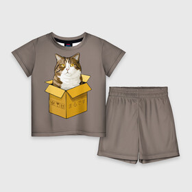 Детский костюм с шортами 3D с принтом Maru ,  |  | Тематика изображения на принте: cat | maru | коробка | кот в коробке | кот мару | котейка | кошка | мару | прикол