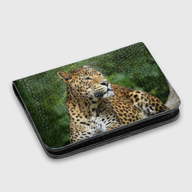 Картхолдер с принтом с принтом Леопард , натуральная матовая кожа | размер 7,3 х 10 см; кардхолдер имеет 4 кармана для карт; | 