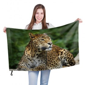 Флаг 3D с принтом Леопард , 100% полиэстер | плотность ткани — 95 г/м2, размер — 67 х 109 см. Принт наносится с одной стороны | 