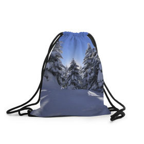 Рюкзак-мешок 3D с принтом Зимний лес , 100% полиэстер | плотность ткани — 200 г/м2, размер — 35 х 45 см; лямки — толстые шнурки, застежка на шнуровке, без карманов и подкладки | времена года | ель | зима | леса | лучи света | природа | снег