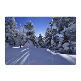 Магнитный плакат 3Х2 с принтом Зимний лес , Полимерный материал с магнитным слоем | 6 деталей размером 9*9 см | Тематика изображения на принте: времена года | ель | зима | леса | лучи света | природа | снег