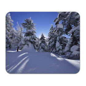 Коврик прямоугольный с принтом Зимний лес , натуральный каучук | размер 230 х 185 мм; запечатка лицевой стороны | времена года | ель | зима | леса | лучи света | природа | снег