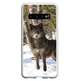 Чехол для Samsung Galaxy S10 с принтом Король леса , Силикон | Область печати: задняя сторона чехла, без боковых панелей | Тематика изображения на принте: волки | животные | зима | зимние | картинки | снег | фото