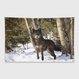 Флаг-баннер с принтом Король леса , 100% полиэстер | размер 67 х 109 см, плотность ткани — 95 г/м2; по краям флага есть четыре люверса для крепления | Тематика изображения на принте: волки | животные | зима | зимние | картинки | снег | фото