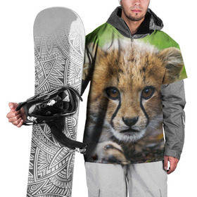 Накидка на куртку 3D с принтом Котёнок гепарда , 100% полиэстер |  | гепард | дикая кошка | котёнок | кошка | лев | природа | тигр | хищник | ягуар