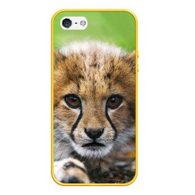 Чехол для iPhone 5/5S матовый с принтом Котёнок гепарда , Силикон | Область печати: задняя сторона чехла, без боковых панелей | гепард | дикая кошка | котёнок | кошка | лев | природа | тигр | хищник | ягуар