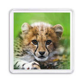 Магнит 55*55 с принтом Котёнок гепарда , Пластик | Размер: 65*65 мм; Размер печати: 55*55 мм | гепард | дикая кошка | котёнок | кошка | лев | природа | тигр | хищник | ягуар