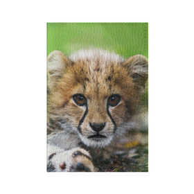 Обложка для паспорта матовая кожа с принтом Котёнок гепарда , натуральная матовая кожа | размер 19,3 х 13,7 см; прозрачные пластиковые крепления | Тематика изображения на принте: гепард | дикая кошка | котёнок | кошка | лев | природа | тигр | хищник | ягуар