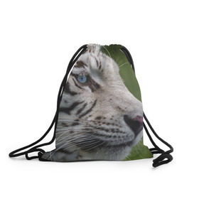 Рюкзак-мешок 3D с принтом Белый тигр , 100% полиэстер | плотность ткани — 200 г/м2, размер — 35 х 45 см; лямки — толстые шнурки, застежка на шнуровке, без карманов и подкладки | Тематика изображения на принте: абессинкая | домашние | животные | кот | котенок | кошка | порода | сиамская | тигр | хищник