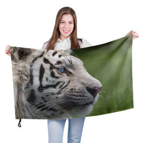 Флаг 3D с принтом Белый тигр , 100% полиэстер | плотность ткани — 95 г/м2, размер — 67 х 109 см. Принт наносится с одной стороны | абессинкая | домашние | животные | кот | котенок | кошка | порода | сиамская | тигр | хищник