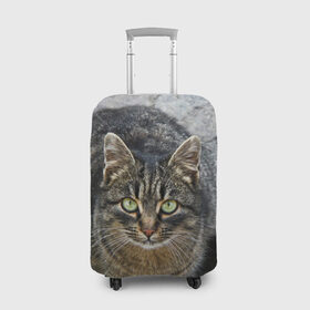 Чехол для чемодана 3D с принтом Серый котик , 86% полиэфир, 14% спандекс | двустороннее нанесение принта, прорези для ручек и колес | 