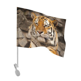 Флаг для автомобиля с принтом Тигр , 100% полиэстер | Размер: 30*21 см | амурский | животные | киса | кот | котенок | кошка | пума | рысь | серый | тигр | хищник