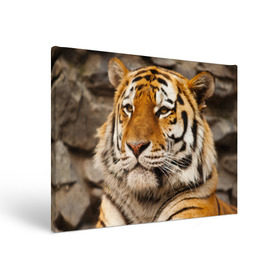 Холст прямоугольный с принтом Тигр , 100% ПВХ |  | Тематика изображения на принте: амурский | животные | киса | кот | котенок | кошка | пума | рысь | серый | тигр | хищник