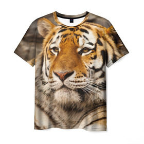 Мужская футболка 3D с принтом Тигр , 100% полиэфир | прямой крой, круглый вырез горловины, длина до линии бедер | амурский | животные | киса | кот | котенок | кошка | пума | рысь | серый | тигр | хищник