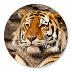 Коврик круглый с принтом Тигр , резина и полиэстер | круглая форма, изображение наносится на всю лицевую часть | Тематика изображения на принте: амурский | животные | киса | кот | котенок | кошка | пума | рысь | серый | тигр | хищник