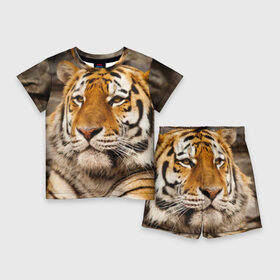 Детский костюм с шортами 3D с принтом Тигр ,  |  | амурский | животные | киса | кот | котенок | кошка | пума | рысь | серый | тигр | хищник