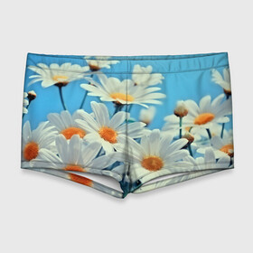 Мужские купальные плавки 3D с принтом Ромашки , Полиэстер 85%, Спандекс 15% |  | flower | цветы